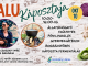 /index.php/program/4298-falukaposztaja-2026