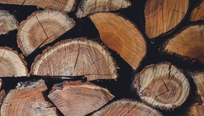 Ingyenes tüzelőanyag