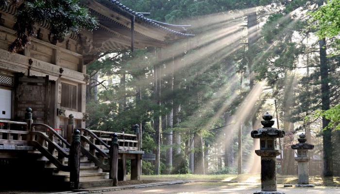 Japán nap - programok, jelentkezés a workshopokra