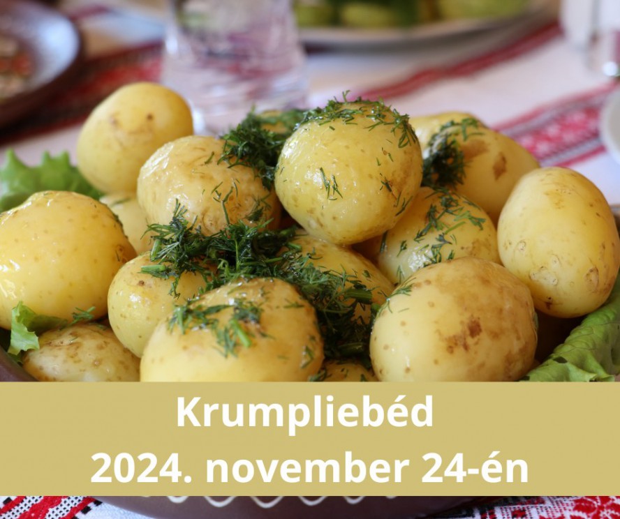 krumpliebed_2024