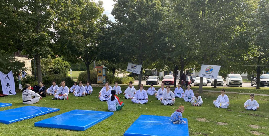 teakwondo1