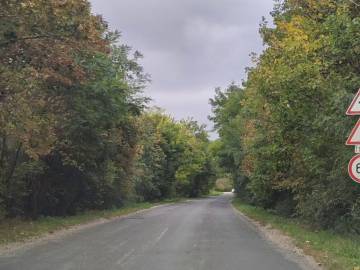 Megkezdődött a Páty-Telki út felújítása - frissítve!